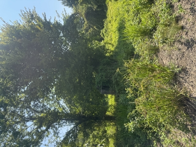 Outdoorsman Dream Property in Ashley County, AR - image 14