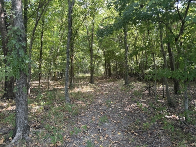 Outdoorsman Dream Property in Ashley County, AR - image 4