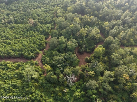 82± Acre Hunting Property in Wilkinson County, MS