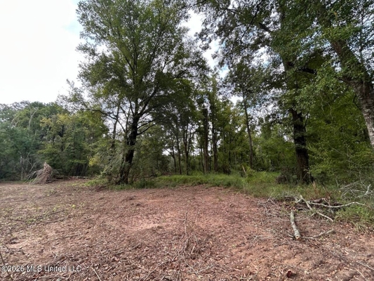 82± Acre Hunting Property in Wilkinson County, MS