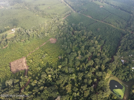 82± Acre Hunting Property in Wilkinson County, MS