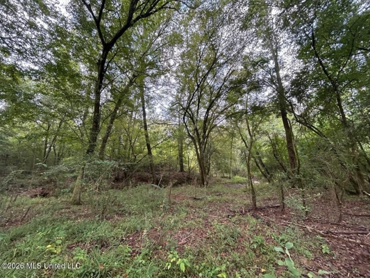 82± Acre Hunting Property in Wilkinson County, MS