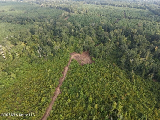 82± Acre Hunting Property in Wilkinson County, MS