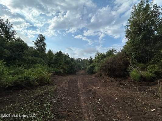 82± Acre Hunting Property in Wilkinson County, MS