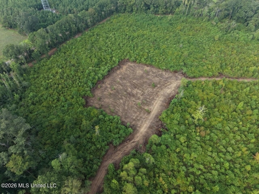 82± Acre Hunting Property in Wilkinson County, MS