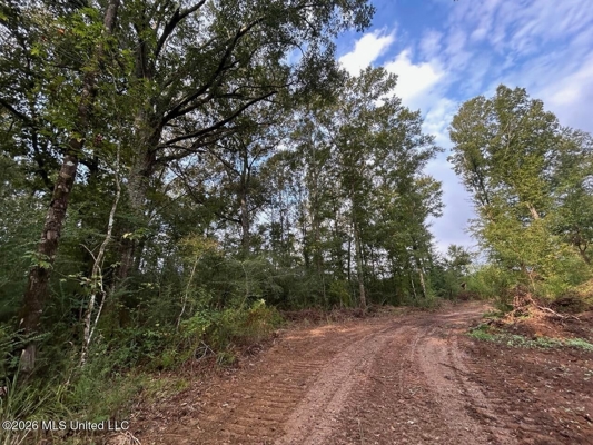 82± Acre Hunting Property in Wilkinson County, MS