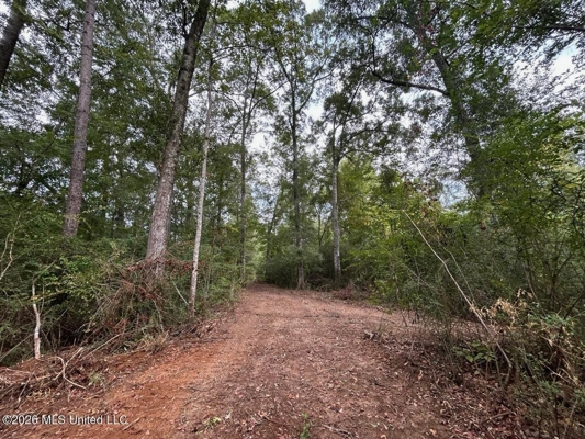 82± Acre Hunting Property in Wilkinson County, MS