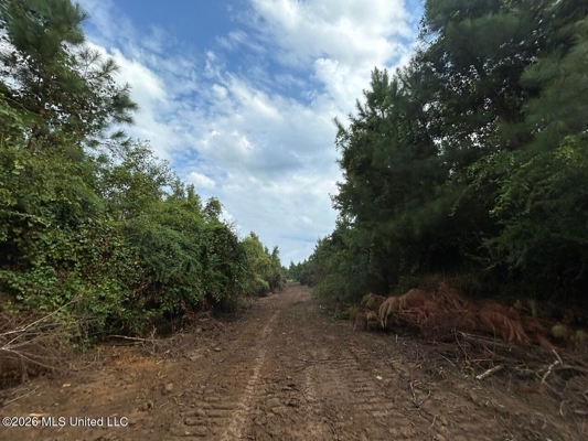 82± Acre Hunting Property in Wilkinson County, MS
