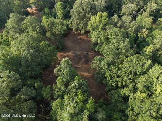 82± Acre Hunting Property in Wilkinson County, MS