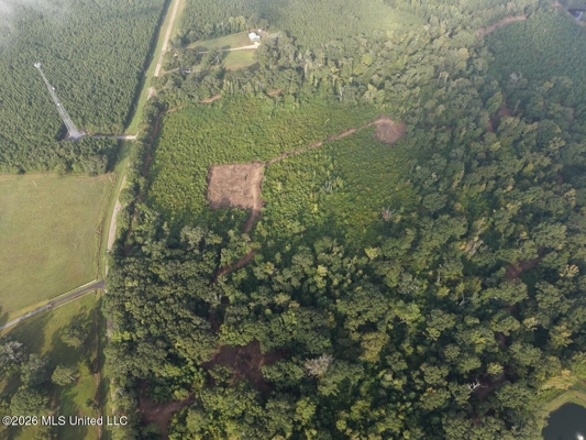 82± Acre Hunting Property in Wilkinson County, MS