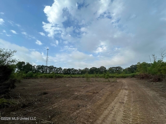 82± Acre Hunting Property in Wilkinson County, MS