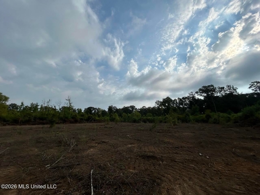 82± Acre Hunting Property in Wilkinson County, MS