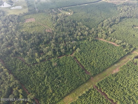 82± Acre Hunting Property in Wilkinson County, MS