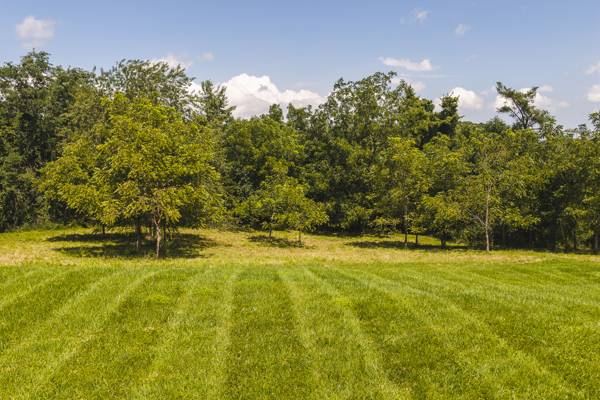 Farmhouse for Sale in Floyd VA