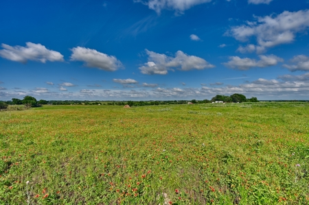 60 Acre Ranch in Burton, TX with Pond & Solar Powered Well - image 15