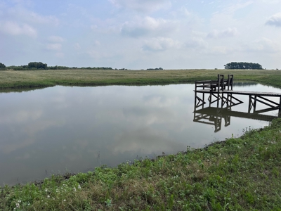 60 Acre Ranch in Burton, TX with Pond & Solar Powered Well - image 21