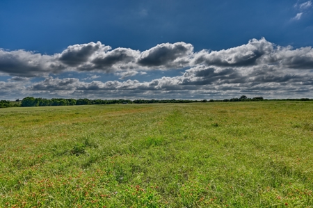 60 Acre Ranch in Burton, TX with Pond & Solar Powered Well - image 13