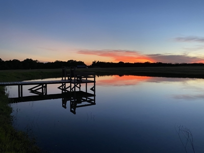 60 Acre Ranch in Burton, TX with Pond & Solar Powered Well - image 1