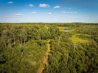 Off Grid 2 Bed/1 Bath Home on 80 Acres North of the Twin Cities - image 49