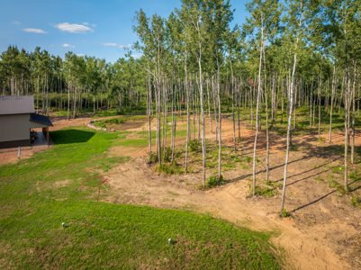 Off Grid 2 Bed/1 Bath Home on 80 Acres North of the Twin Cities - image 42