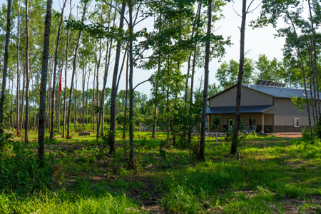 Off Grid 2 Bed/1 Bath Home on 80 Acres North of the Twin Cities - image 43