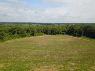 16.26 Acre Property Outside of Wallace, NC - image 5