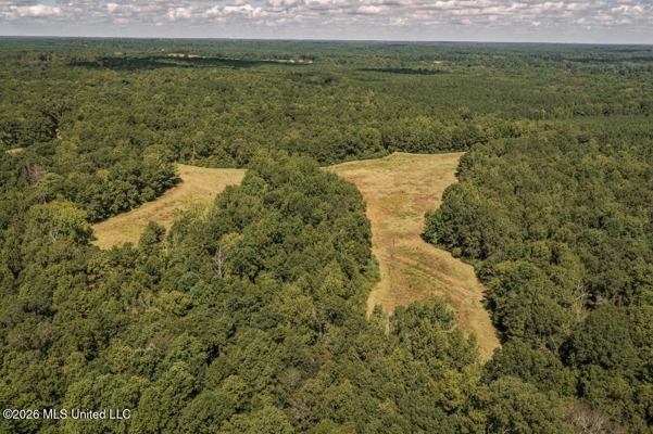 HWY 49 Land for Sale Simpson County, MS
