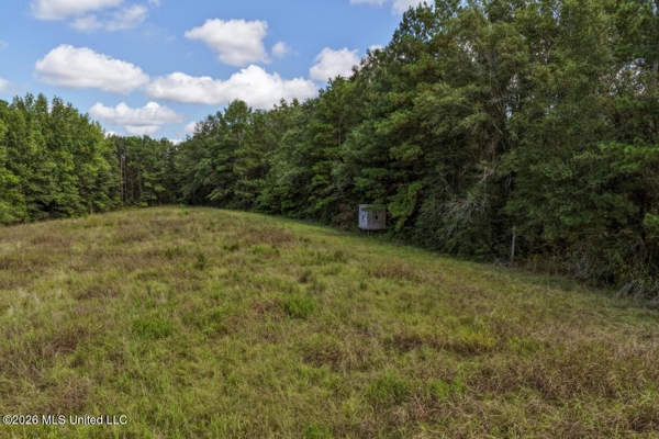 HWY 49 Land for Sale Simpson County, MS