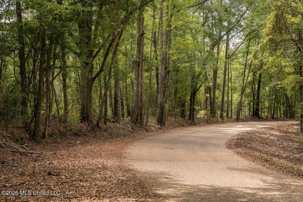 HWY 49 Land for Sale Simpson County, MS