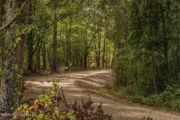 HWY 49 Land for Sale Simpson County, MS