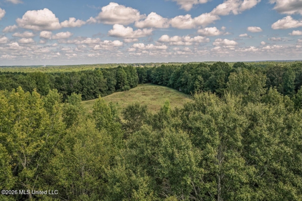 HWY 49 Land for Sale Simpson County, MS