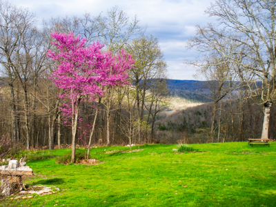 Scenic  Ozarks Income Producing  Retreat For Sale - image 1