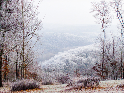 Scenic  Ozarks Income Producing  Retreat For Sale - image 26