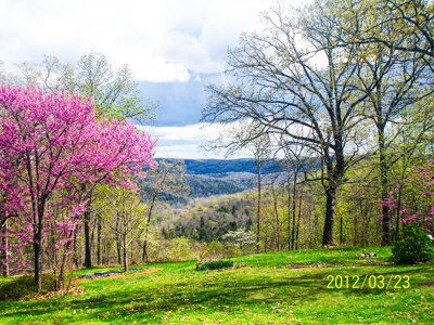 Scenic  Ozarks Income Producing  Retreat For Sale - image 16