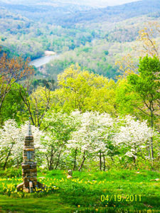 Scenic  Ozarks Income Producing  Retreat For Sale - image 13