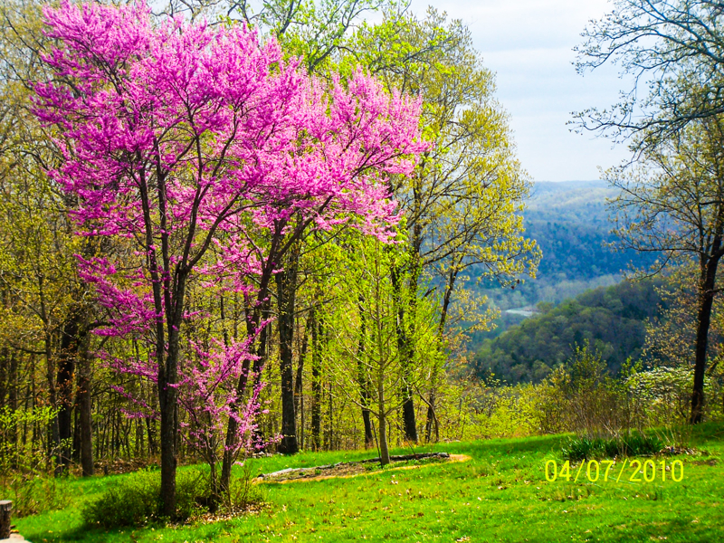 No Caption