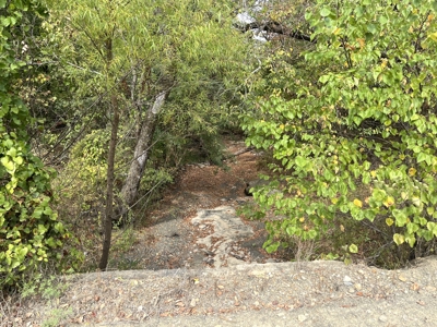 85-Acre Outdoorsman’s Paradise in Southeast Oklahoma For Sale - image 32