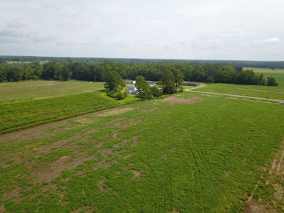 32.35 Acre Farm Located close to Wallace, NC - image 8