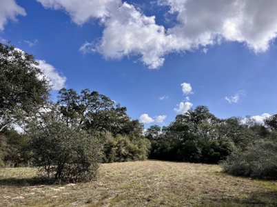 Land for Sale in Garwood, TX - Unrestricted, Wooded, Live Oaks - image 2