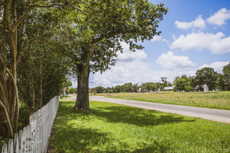 Antique Gem in Historic Cat Spring, TX - image 5