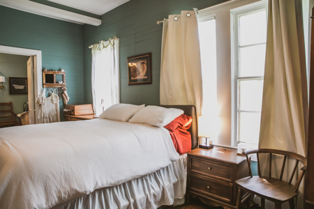 Antique Gem in Historic Cat Spring, TX - image 29