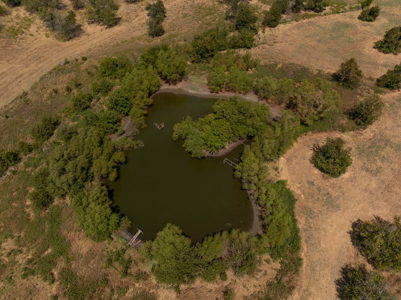 30 Acres With Well, Shop, Corrals, & 2 Ponds Ready To Build On - image 4
