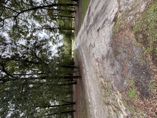 Nature Lover’s Retreat — 4/2 Home on 4.86 Acres Near the Suwannee