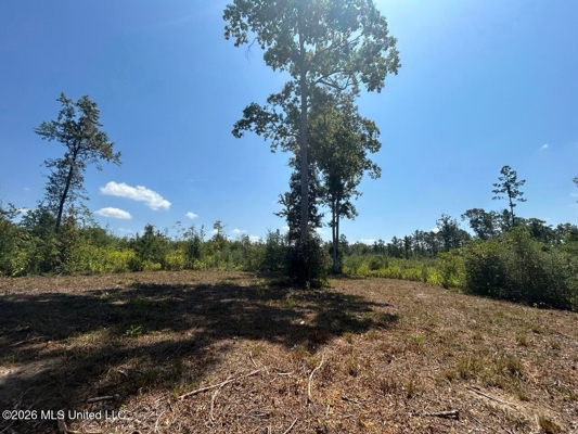 147± Acre Hunting Property in Plainview, LA