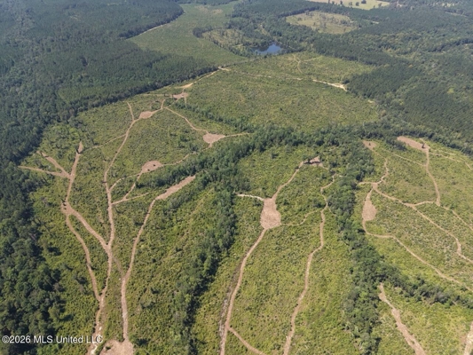 147± Acre Hunting Property in Plainview, LA