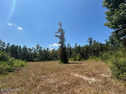 147± Acre Hunting Property in Plainview, LA