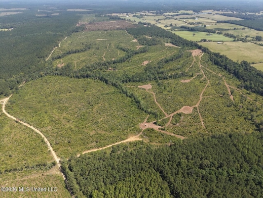 147± Acre Hunting Property in Plainview, LA