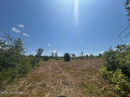 147± Acre Hunting Property in Plainview, LA