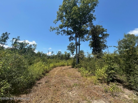 147± Acre Hunting Property in Plainview, LA