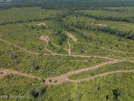 147± Acre Hunting Property in Plainview, LA